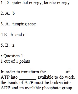 Chapter 4 & 5 Quiz